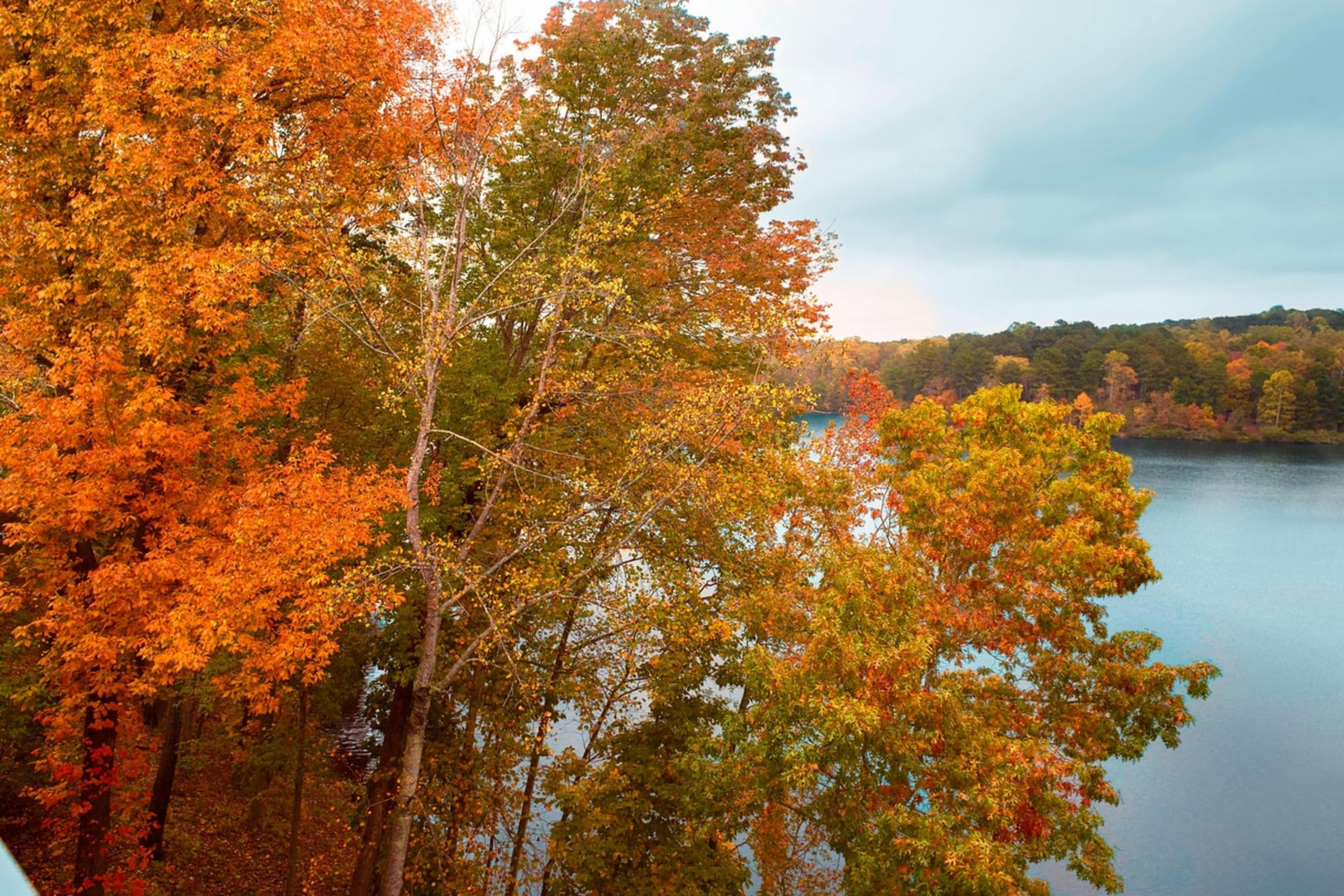 Atlanta Evergreen Lakeside Resort Stone Mountain Buitenkant foto