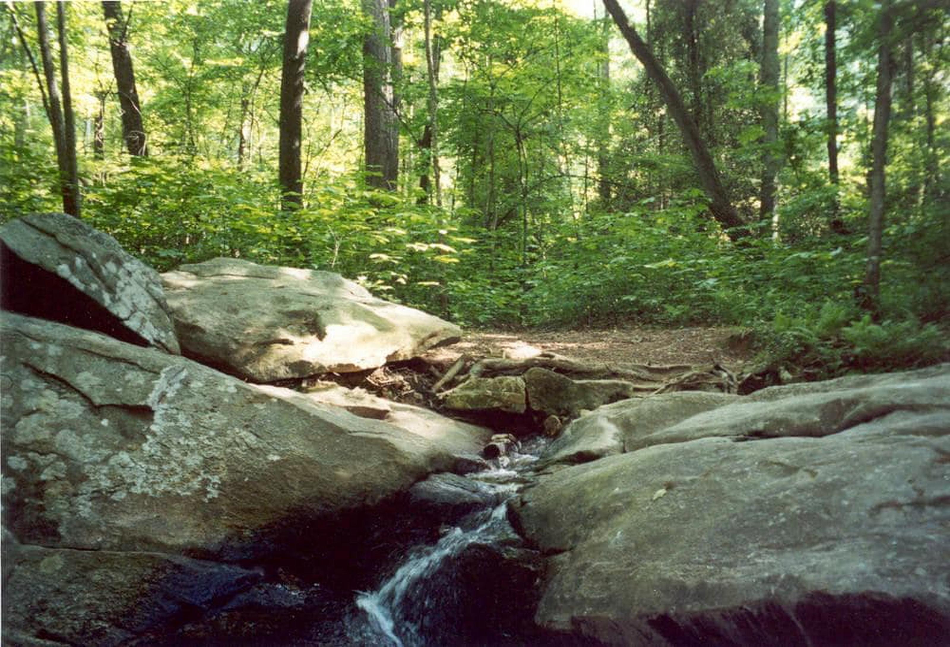 Atlanta Evergreen Lakeside Resort Stone Mountain Buitenkant foto